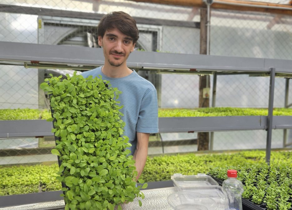 Tecnología que germina: H2Verdes y el futuro de la producción sustentable